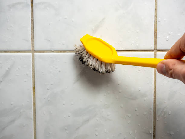 Best Home Mold Removal  in Kibler, AR