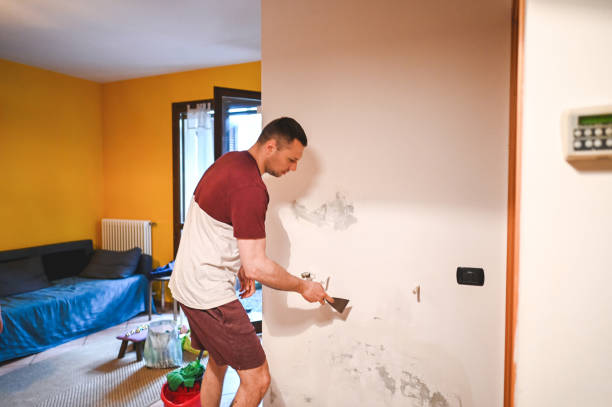 Best Local Mold Removal Service  in Kibler, AR